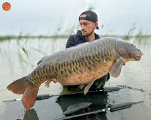 THE ULTIMATE Boilie The Secret 1kg (7)