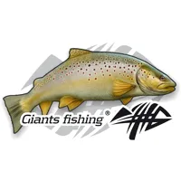GIANTS FISHING Nálepka veľká Pstruh 15cm