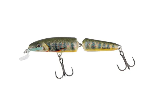 SALMO Wobler Fanatic Lake Charr Floating 7cm (plávajúci)