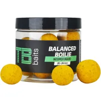 TB BAITS Boilie Balanced + Atraktor Scopex Squid 20-24mm, 100g