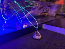 KATRAN Vlasec Synapse Neon 300m (11)
