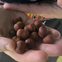 THE ULTIMATE Dumbell Tangy Squid 12/16mm (1kg) (3)