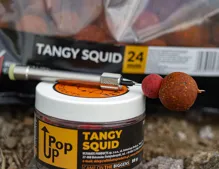 THE ULTIMATE Pop-Up Tangy Squid (50g)