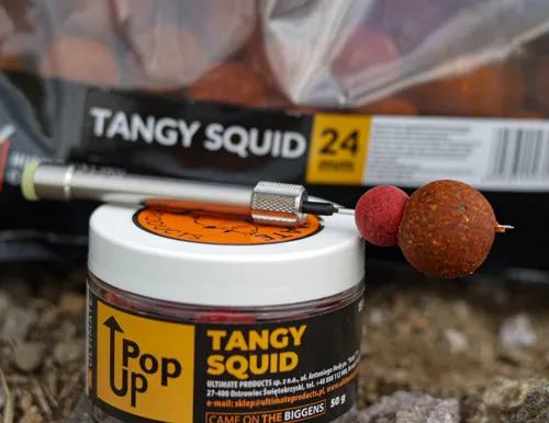 THE ULTIMATE Pop-Up Tangy Squid (50g)