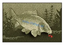 DELPHIN Rohož CatchME! KAPOR (60x40cm)