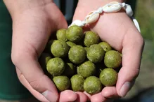 LF BAITS Kŕmne boilie Premium Banán Kreveta 5kg (7)