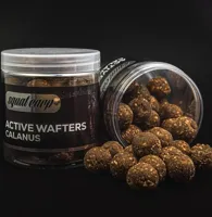 SQUAT CARP Active Wafters Calanus neutrálne vyvážené boilies 150g (rozpustné)
