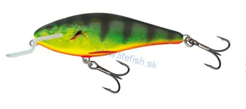 SALMO Wobler EXECUTOR Shallow Runner Real Hot Perch - 7cm, 8g (plávajúci)