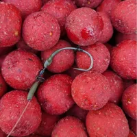 CARP ONLY Boilies Hookbait Frenetic ALT Jahoda 1kg (1)