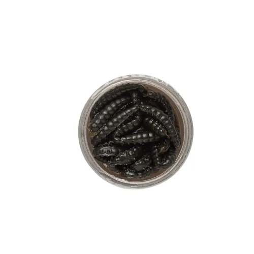 BERKLEY Osia Larva 2.5cm Black, 55ks