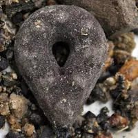 LK BAITS Carpleads Grip Brown 80g