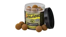 CARP SERVIS VÁCLAVÍK Boilies Balanc Anštajn 120g (2)