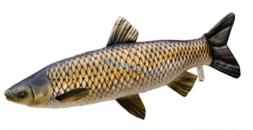 GABY Vankúš Amur Veľký 103cm, 1ks