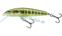 SALMO Wobler Minnow Sinking Minnow 5cm, 5g (potápavý)