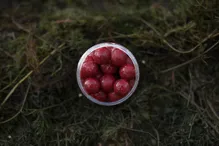 LK BAITS Fresh Boilies Restart Wild Strawberry 18mm, 250ml (2)