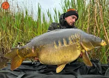 THE ULTIMATE Boilie The Secret 1kg (30)