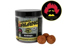CARP SERVIS VÁCLAVÍK Boilies Balanc Anštajn 120g