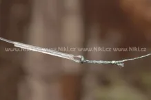 CARP ´R´ US Fluorocarbonové nadväzce STIFF LINK Loop & Oval Ring (3ks) (2)