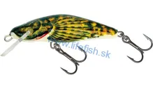 SALMO Wobler Bullhead Floating Bullhead 6cm, 6g (plávajúci)
