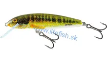SALMO Wobler Minnow Floating Holo Real Minnow 7cm, 6g (plávajúci)