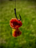 LK BAITS CUC! RAISIN Lesní Jahoda 50g