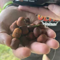 THE ULTIMATE Dumbell Tangy Squid 12/16mm (1kg) (2)