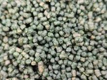 AQUA GARANT Pelety Betain Complex 800g (11)