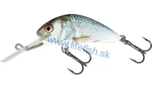 SALMO Wobler Hornet Sinking Real Dace 3.5cm, 2.6g (potápavý)