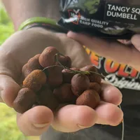 THE ULTIMATE Dumbell Tangy Squid 12/16mm (1kg) (1)