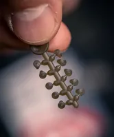 TRAKKER Stoper Supa-Grip Hook Beads, 20ks (4)