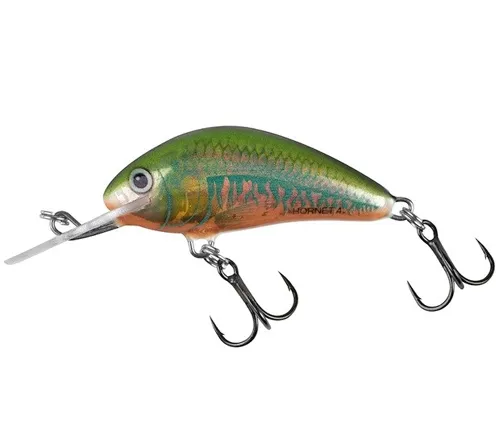 SALMO Wobler Hornet Sinking Holo Oikawa 2.5cm (potápavý)