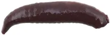 BERKLEY Nástraha červ Gulp! Floating Pinched Crawler 2.5cm Nighcrawler, 14ks
