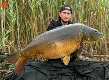 THE ULTIMATE Boilie The Secret 1kg (9)