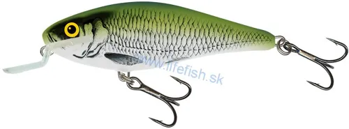 SALMO Wobler EXECUTOR Shallow Runner Olive Bleak 9cm, 14.5g (plávajúci)