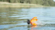 LK BAITS Krmná raketa Spyder Spod Full Orange (5)