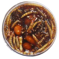 TB BAITS Nakladaný Tigrí Orech XXL 150ml