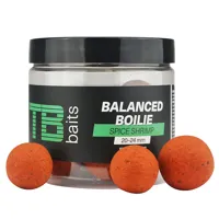 TB BAITS Balanced Boilie + Atraktor Spice Shrimp 20-24mm, 100g