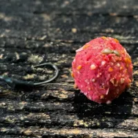 LF BAITS Kŕmne boilie Crazy Strawberry 5kg (5)