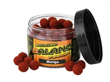 CARP SERVIS VÁCLAVÍK Boilies Balanc Feeder Mango 12mm, 80g