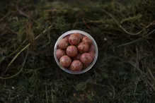 LK BAITS Fresh Boilies Restart Mušla 18mm, 250ml (1)