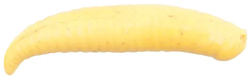 BERKLEY Nástraha červ Gulp! Floating Pinched Crawler 2.5cm Chunky Cheese (14ks)