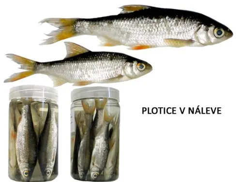 ESOX Plotice v náleve (10ks)