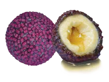 LK BAITS Nutrigo Pellets Red Halibut 24mm, 250ml (1)