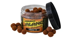 CARP SERVIS VÁCLAVÍK Boilies Balanc Feeder Viktor X 12mm, 80g