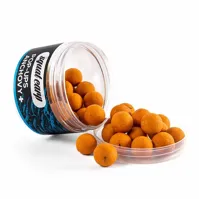 SQUAT CARP Pop-Up Anchovy+ 60g