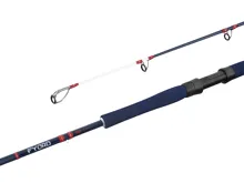 DELPHIN Prút Fyord BigBOAT 300-400g, 2.00m (2diel)