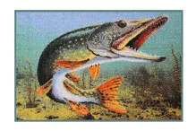 DELPHIN Rohož 3D šťuka (60x40cm)