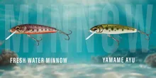 SALMO Wobler Minnow Floating Freshwater Minnow 7cm (plávajúci) (1)