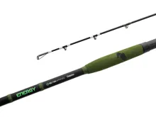 DELPHIN Sumcový prút Energy Catfish 250-500g, 2.80m