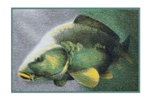 DELPHIN Rohož 3D kapor (60x40cm)